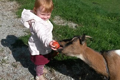 Urlaub mit Kindern im Passauer Land